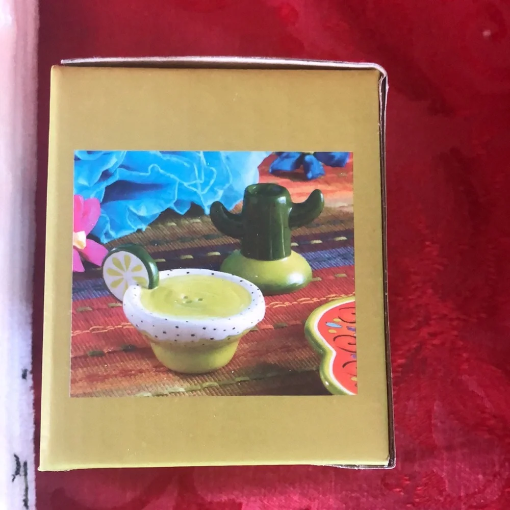 Pier One 2 piece cactus margarita salt and pepper shaker